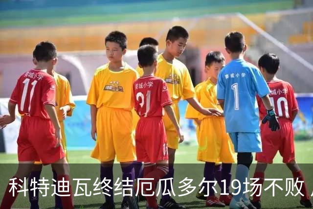 科特迪瓦终结厄瓜多尔19场不败 用韧性拿到世界杯开门红